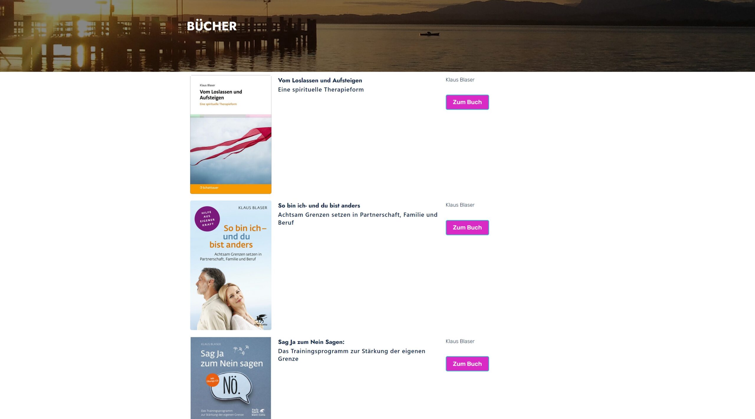 Horizologie Website That Works Media Portfolio 02